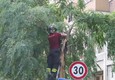 Roma, cade albero su un'auto, salva una donna © ANSA