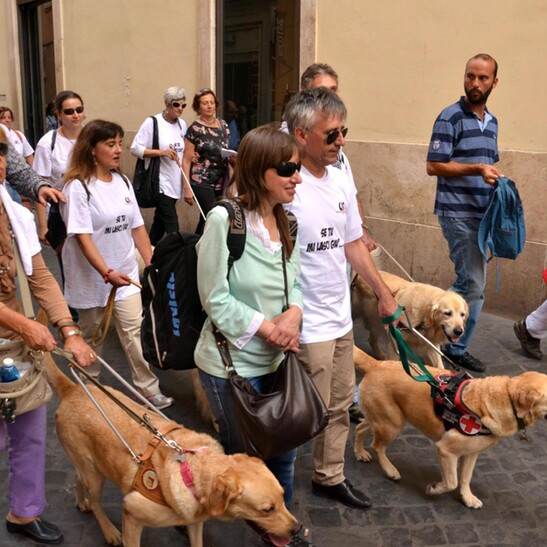 foto su giornata nazionale del cane guida per i ciechi e la