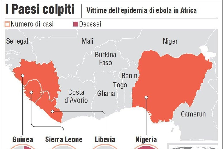 Casi e vittime dell 'epidemia di ebola che ha colpito l 'Africa Occidentale in un 'infografica realizzata da Centimetri, - RIPRODUZIONE RISERVATA