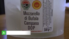 La tracciabilita' della mozzarella di bufala campana Dop diventa intelligente